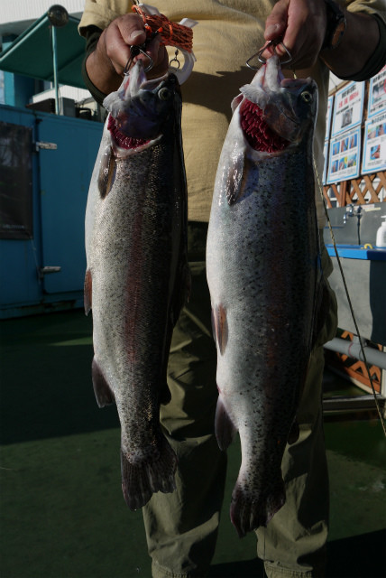 としまえんフィッシングエリア 釣果