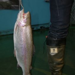 としまえんフィッシングエリア 釣果