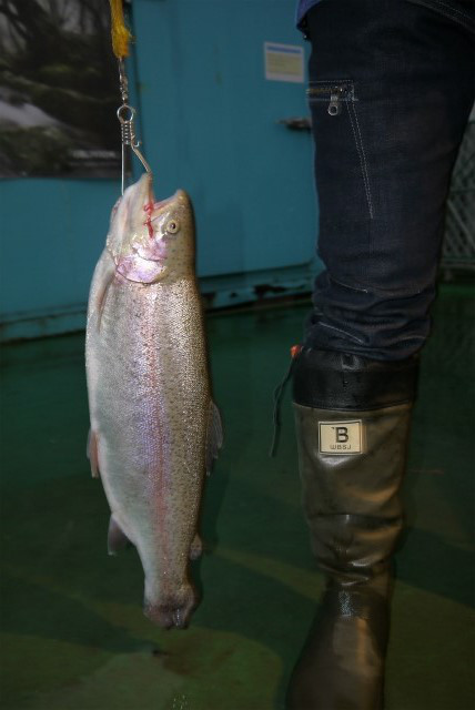 としまえんフィッシングエリア 釣果