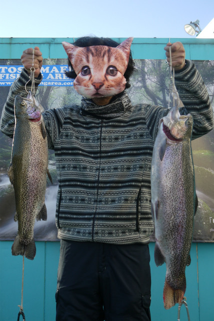 としまえんフィッシングエリア 釣果