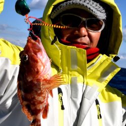 渡船屋たにぐち 釣果