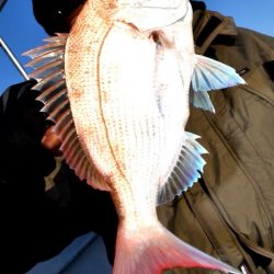 渡船屋たにぐち 釣果