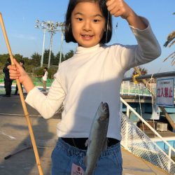 としまえんフィッシングエリア 釣果