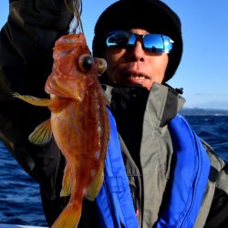 渡船屋たにぐち 釣果