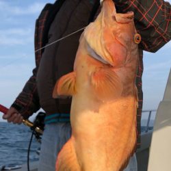 末広丸(熊本) 釣果