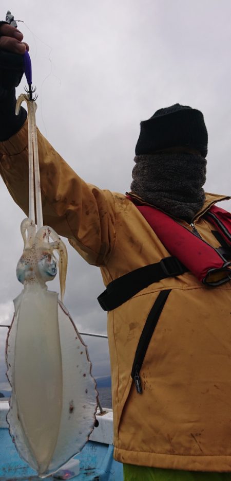 シースナイパー海龍 釣果