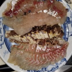 龍神丸(鹿児島) 釣果