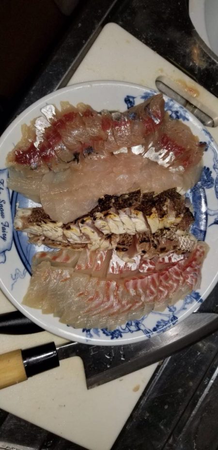 龍神丸(鹿児島) 釣果