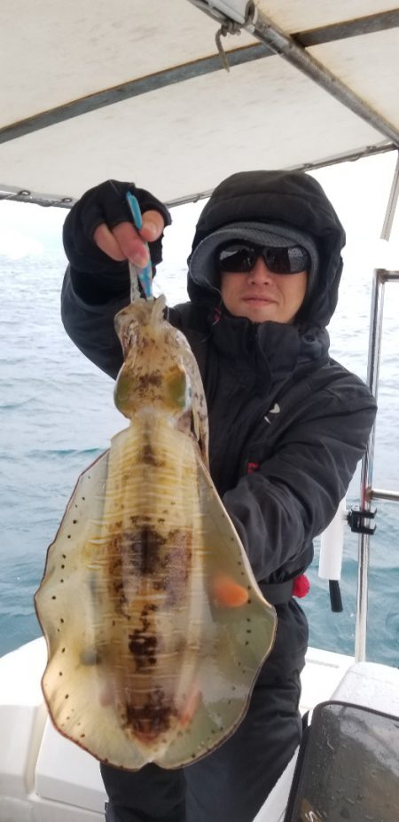 ソルトウォーターガイドフレンズ 釣果