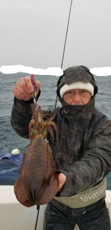 ソルトウォーターガイドフレンズ 釣果