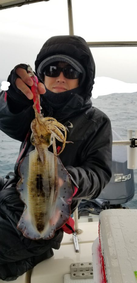 ソルトウォーターガイドフレンズ 釣果