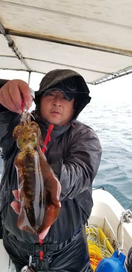 ソルトウォーターガイドフレンズ 釣果