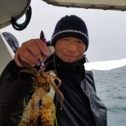 ソルトウォーターガイドフレンズ 釣果