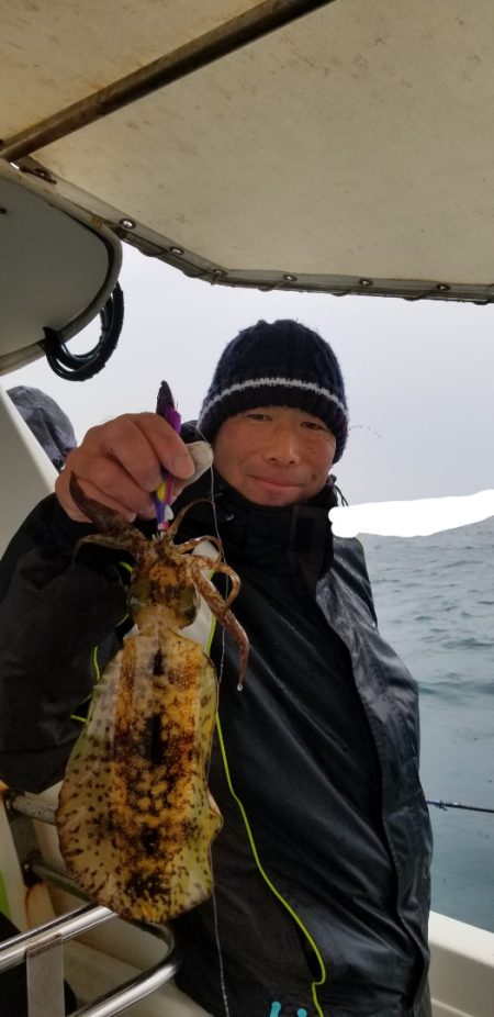 ソルトウォーターガイドフレンズ 釣果