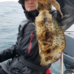 ソルトウォーターガイドフレンズ 釣果