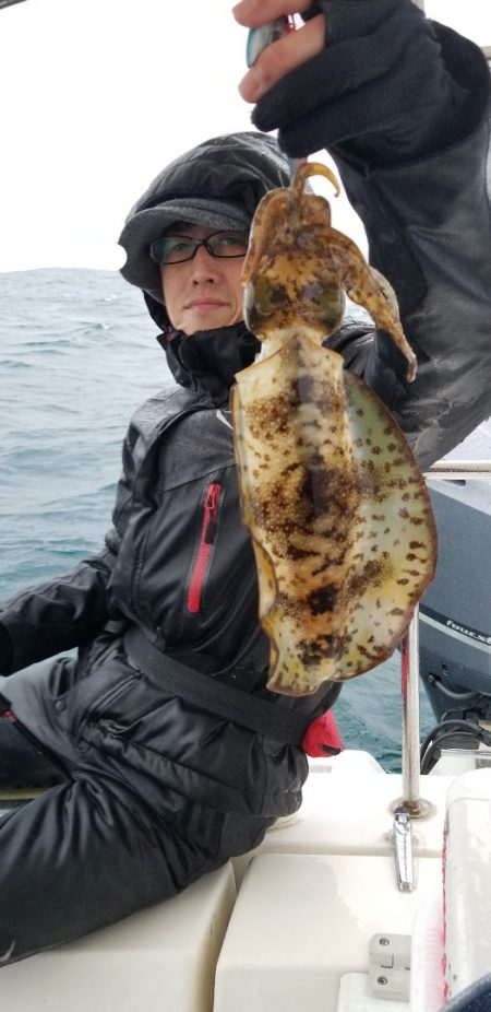 ソルトウォーターガイドフレンズ 釣果