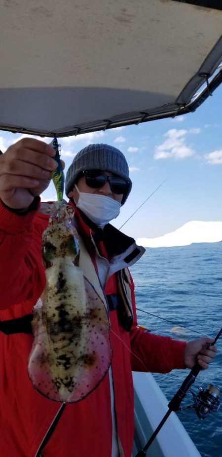 ソルトウォーターガイドフレンズ 釣果