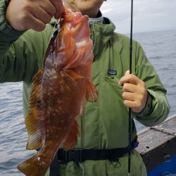 海龍丸（石川） 釣果
