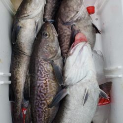 海龍丸（石川） 釣果