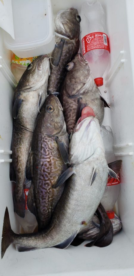 海龍丸（石川） 釣果