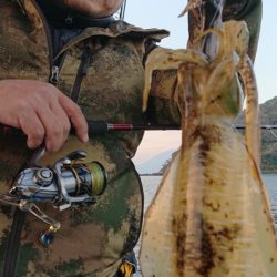 シースナイパー海龍 釣果