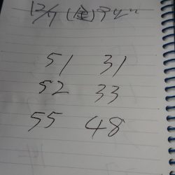 金沢八景鴨下丸 釣果