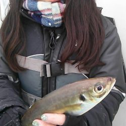 金沢八景鴨下丸 釣果