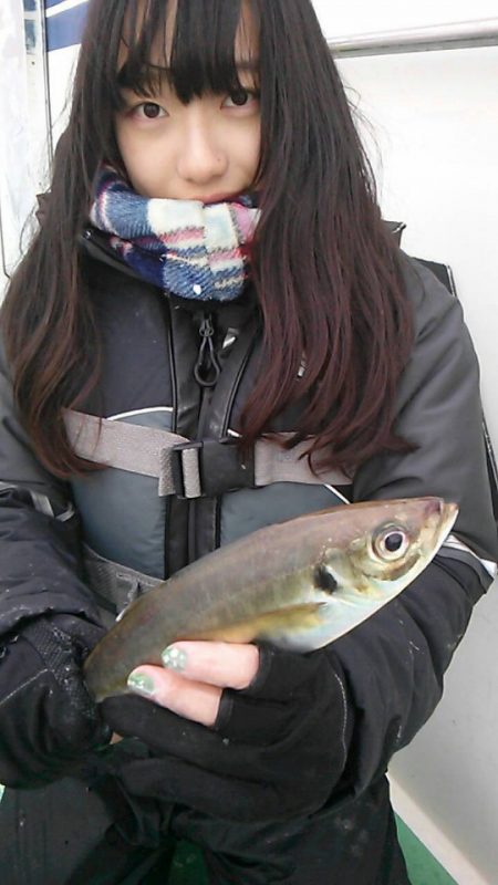 金沢八景鴨下丸 釣果