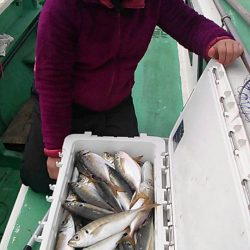 金沢八景鴨下丸 釣果