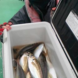 金沢八景鴨下丸 釣果