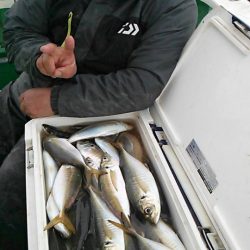 金沢八景鴨下丸 釣果