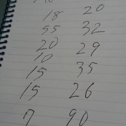 金沢八景鴨下丸 釣果