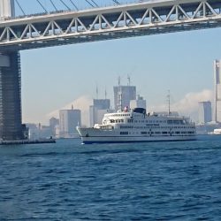 金沢八景鴨下丸 釣果