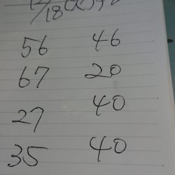 金沢八景鴨下丸 釣果