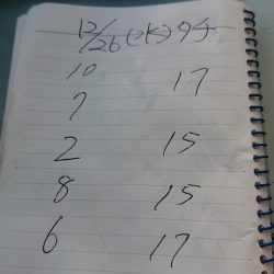 金沢八景鴨下丸 釣果