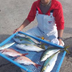 第三共栄丸 釣果