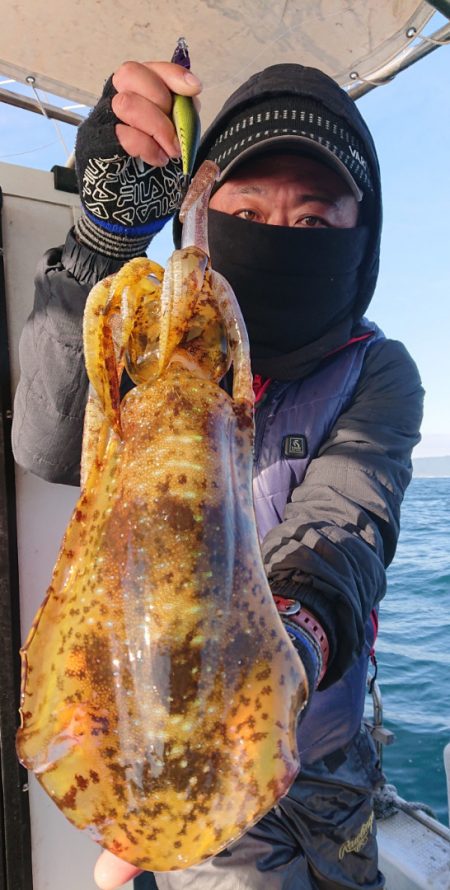 シースナイパー海龍 釣果