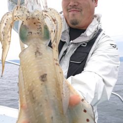 シースナイパー海龍 釣果