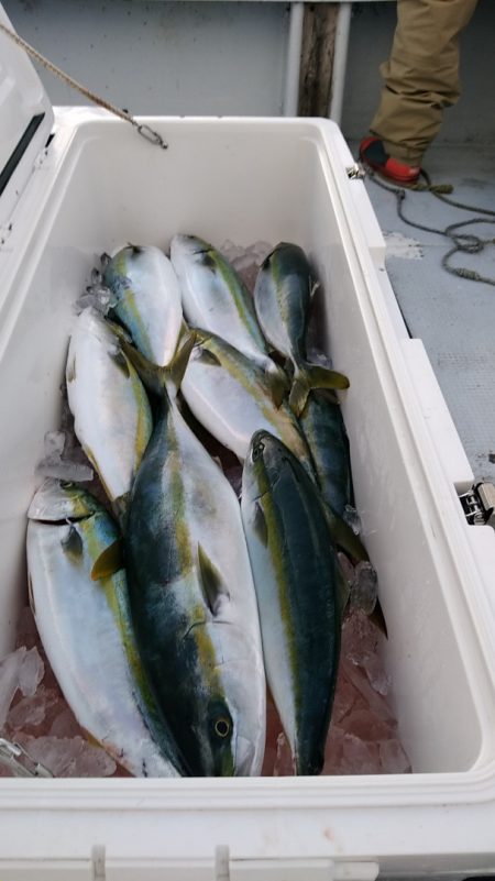 LUSTER『ラスター』 釣果