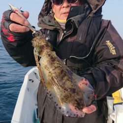 きずなまりん 釣果