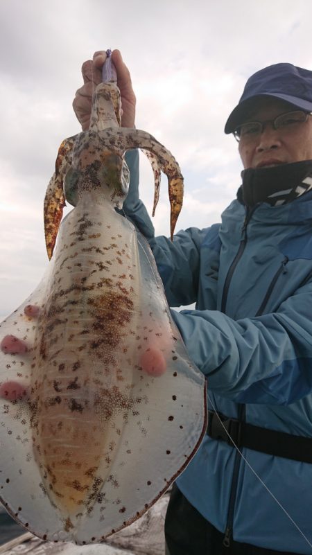 シースナイパー海龍 釣果