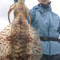 シースナイパー海龍 釣果