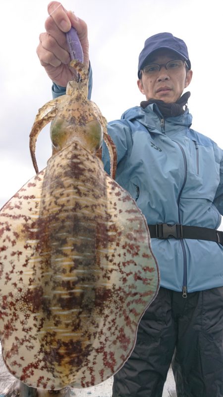 シースナイパー海龍 釣果