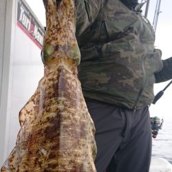 シースナイパー海龍 釣果