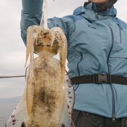 シースナイパー海龍 釣果