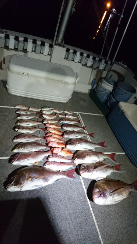 ARCADIAⅡ (アルカディアⅡ) 釣果