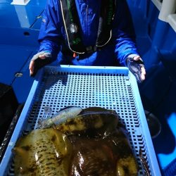 第三共栄丸 釣果