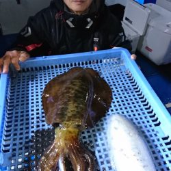 第三共栄丸 釣果