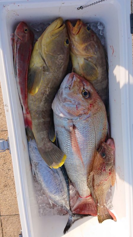 海皇丸 釣果