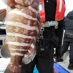 第二龍勢丸 釣果